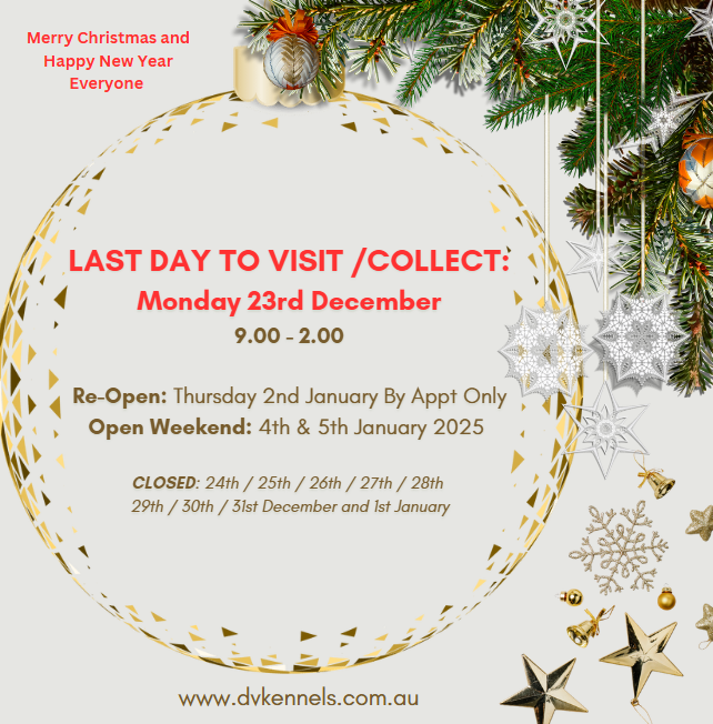 CHRISTMAS AND NEW YEAR  - OPEN THIS WEEKEND PLUS MONDAY 23rd DEC  - 9.00 - 2.00 pm