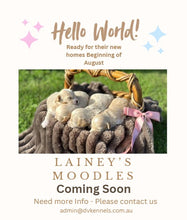 Load image into Gallery viewer, 💫 LAINEY's MOODLES - Coming Soon - Join Waitlist  NOW💫 Ready Beg Aug